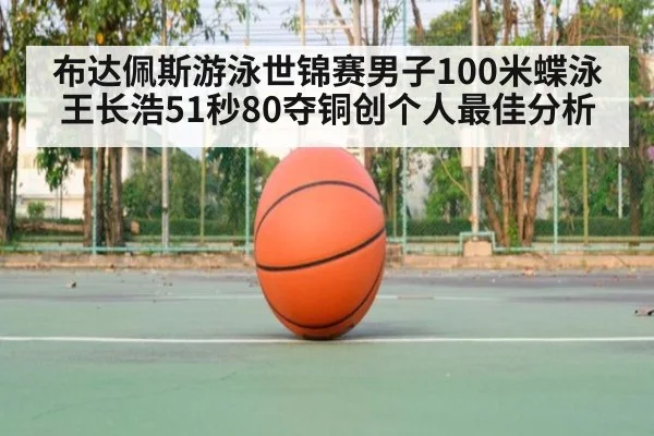 布达佩斯游泳世锦赛男子100米蝶泳王长浩51秒80夺铜创个人最佳分析（jiuyou game）