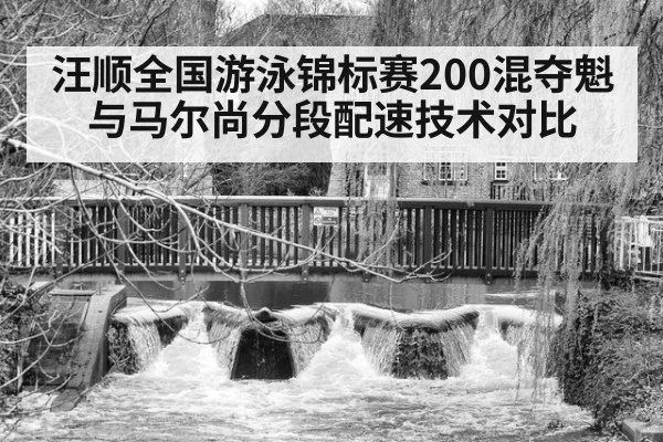 汪顺全国游泳锦标赛200混夺魁 与马尔尚分段配速技术对比（jiuyou game）